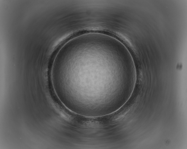 X0000093240535200709261710