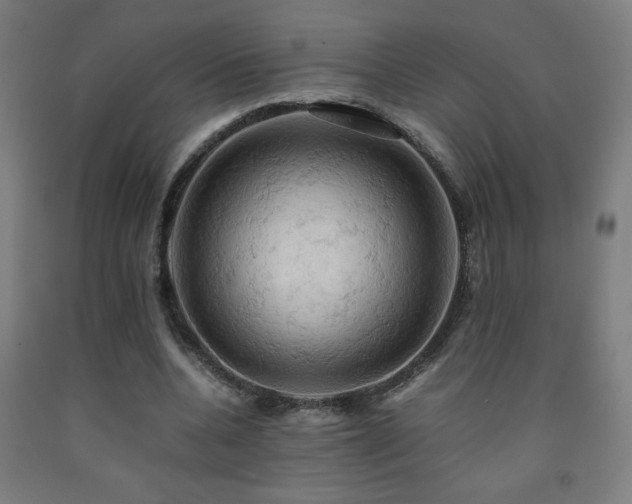 X0000093240536200709261710