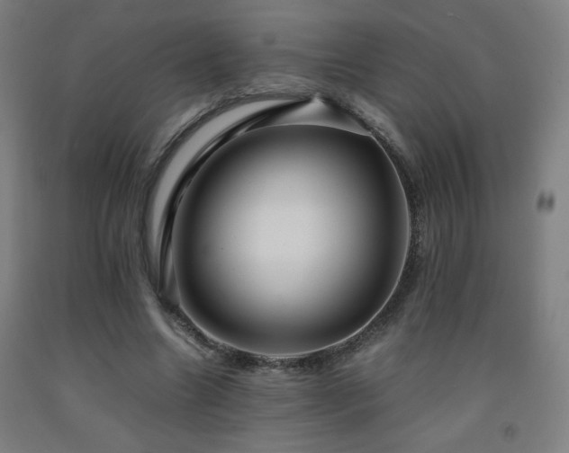 X0000093240538200709261710