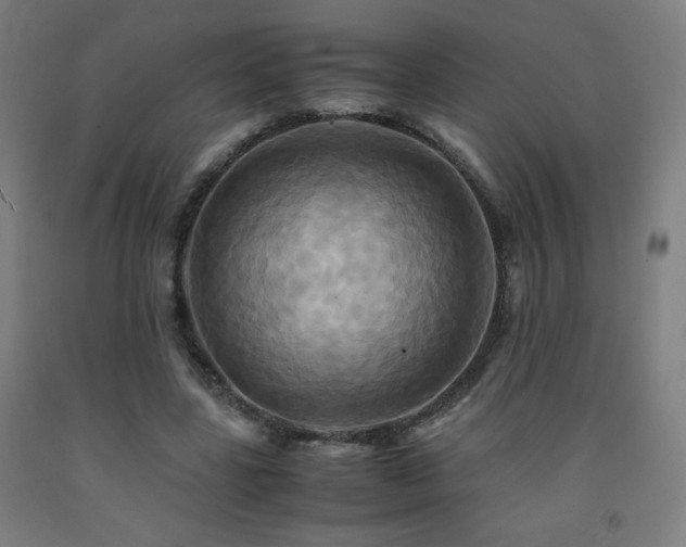 X0000093240539200709261710