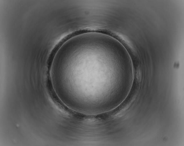 X0000093240540200709261710