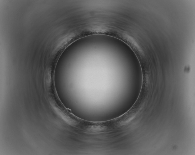 X0000093240541200709261711