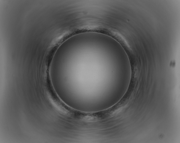 X0000093240542200709261711