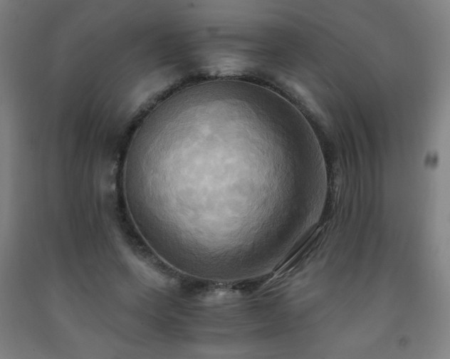 X0000093240543200709261711