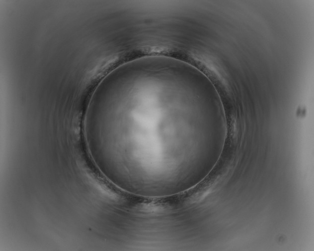 X0000093240545200709261711
