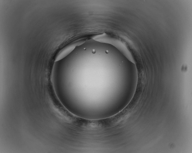 X0000093240546200709261711