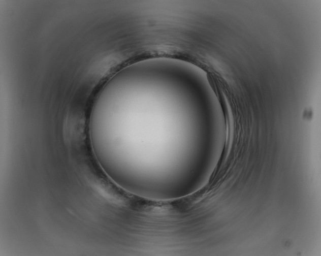 X0000093240548200709261711