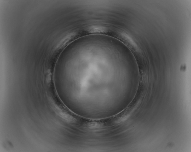 X0000093240549200709261711