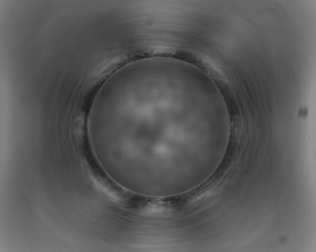 X0000093240550200709261711
