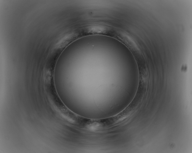 X0000093240551200709261711