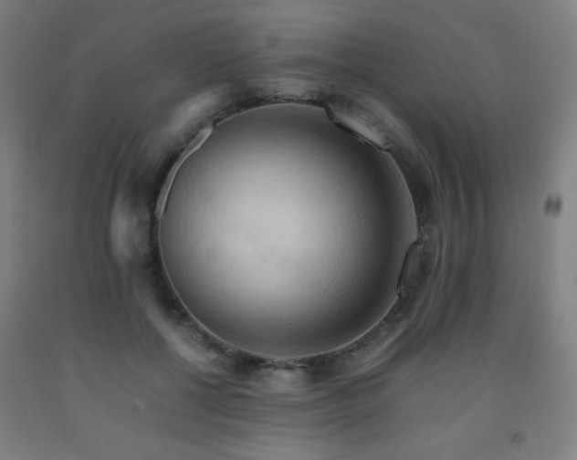 X0000093240552200709261711