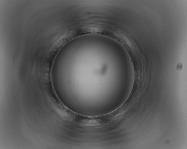 X0000093240553200709261711