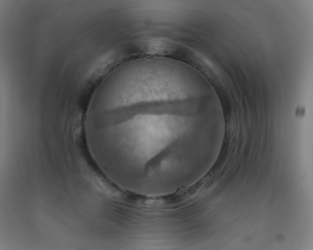 X0000093240554200709261711