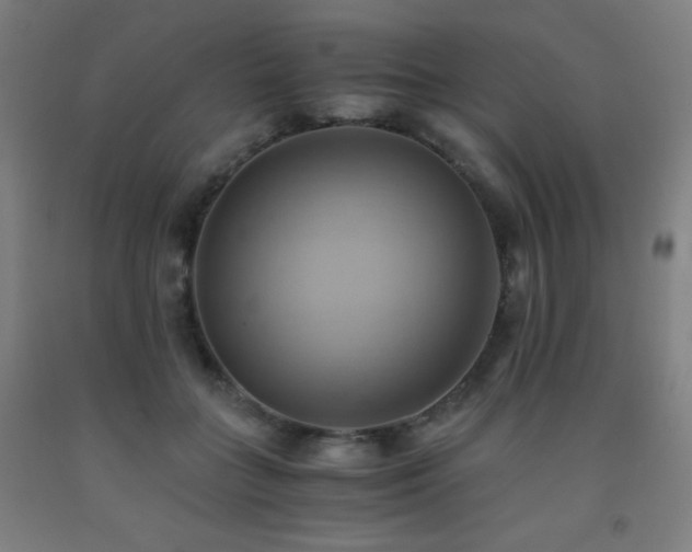 X0000093240555200709261711