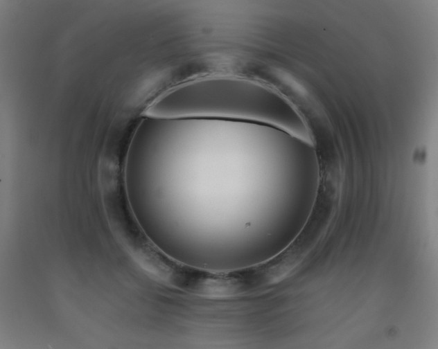 X0000093240556200709261711