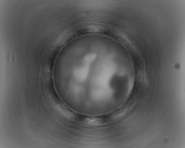 X0000093240557200709261711