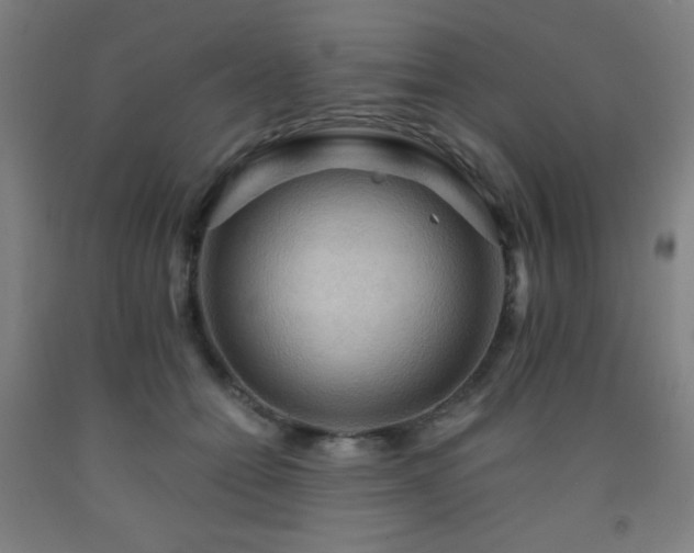 X0000093240558200709261711