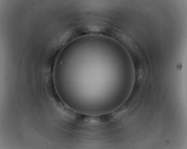 X0000093240559200709261711