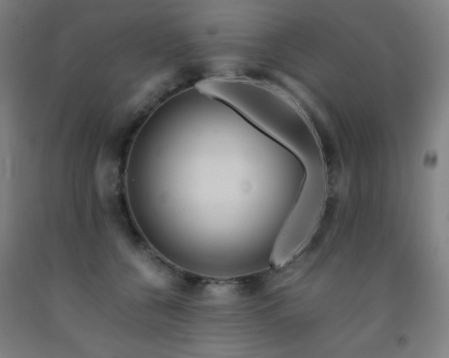X0000093240560200709261711