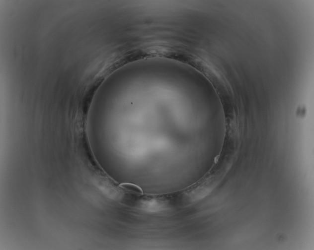 X0000093240561200709261711