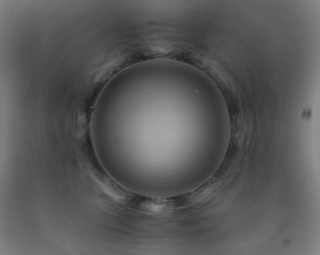 X0000093240563200709261711