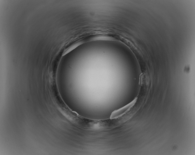 X0000093240564200709261711