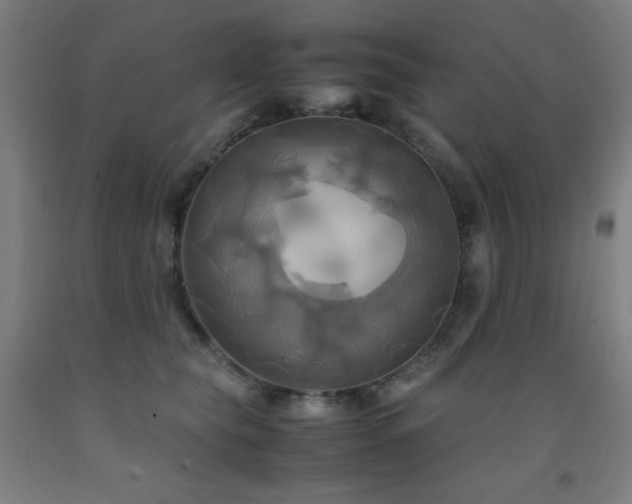 X0000093240565200709261711