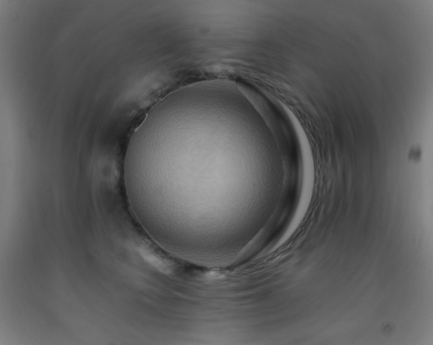 X0000093240566200709261711