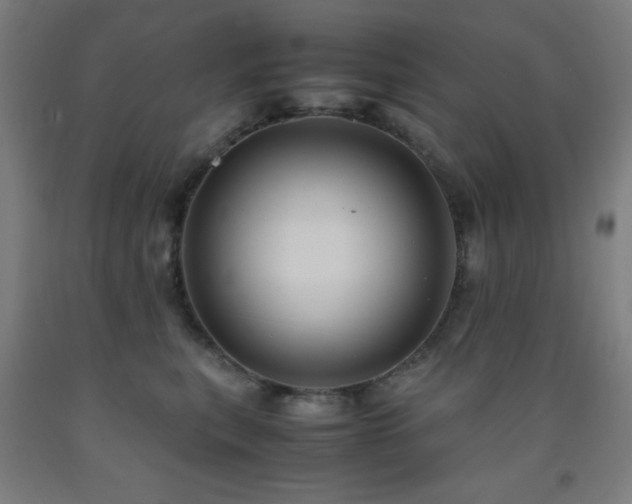 X0000093240567200709261711