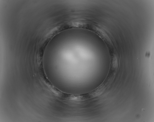 X0000093240569200709261711