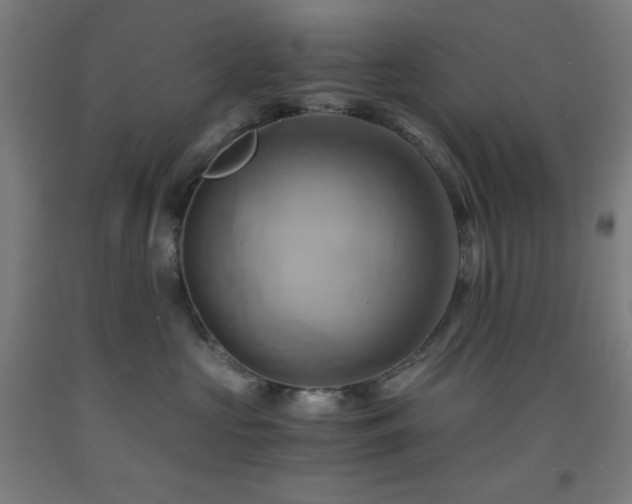 X0000093240573200709261711