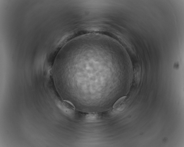 X0000093240574200709261711