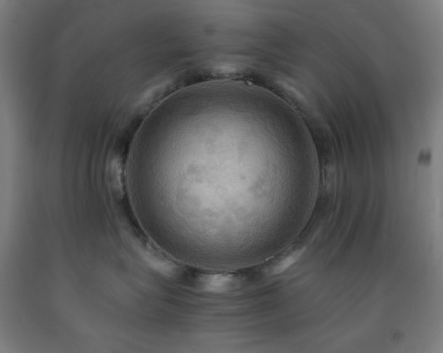 X0000093240575200709261711