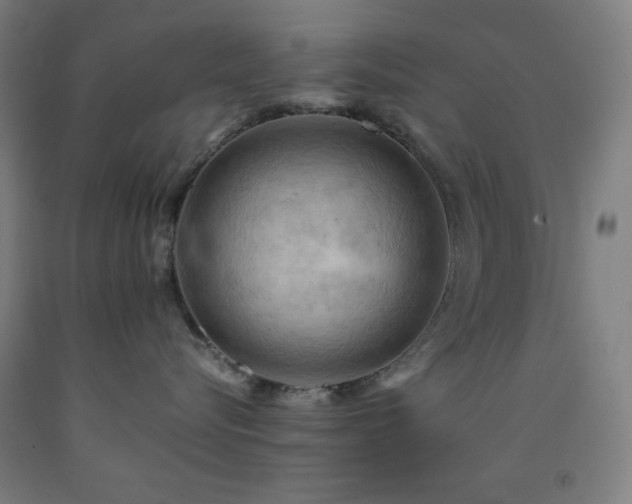 X0000093240576200709261711