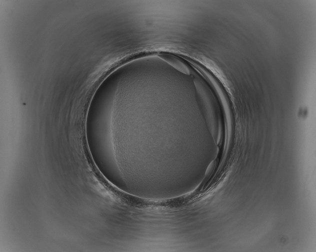 X0000093240577200709261710