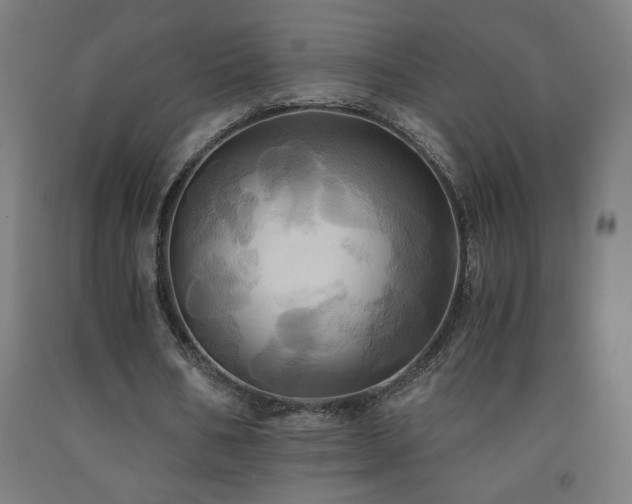 X0000093240578200709261710