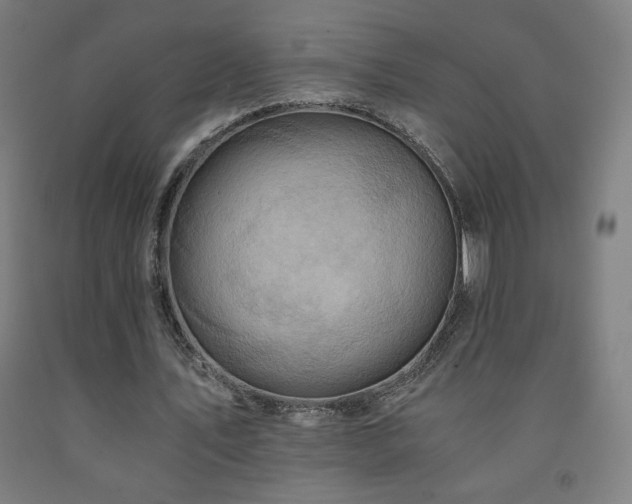 X0000093240579200709261710