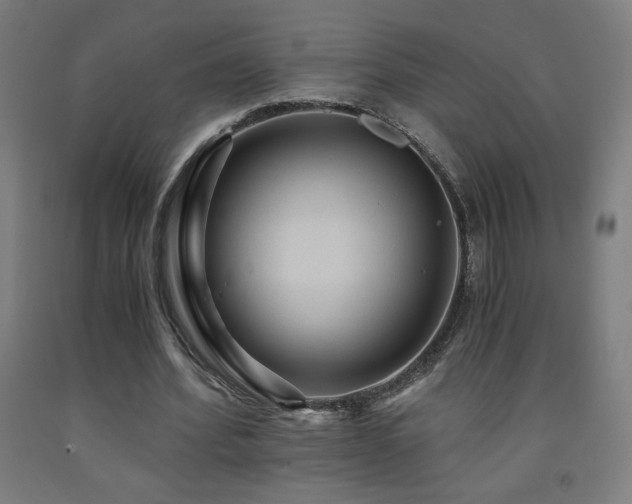 X0000093240580200709261710