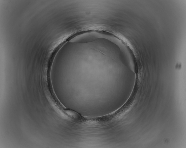X0000093240581200709261710