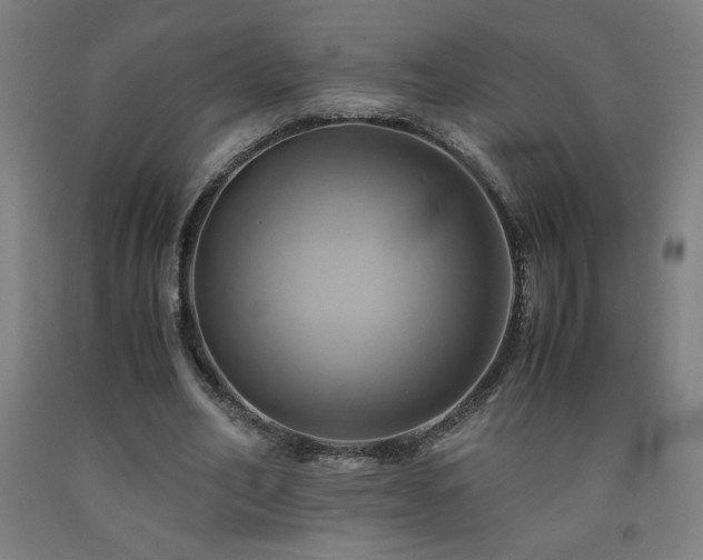 X0000093240582200709261710