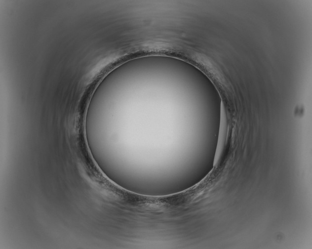 X0000093240583200709261710