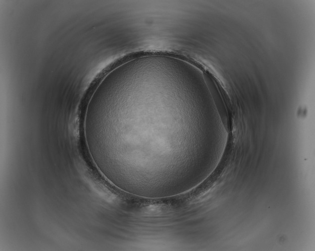 X0000093240584200709261710