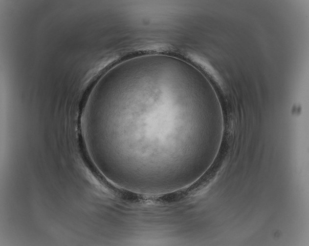 X0000093240585200709261710