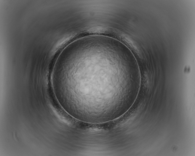 X0000093240586200709261710