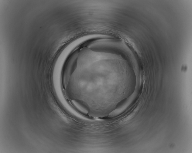 X0000093240589200709261710