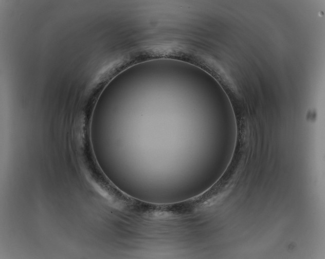 X0000093240590200709261710