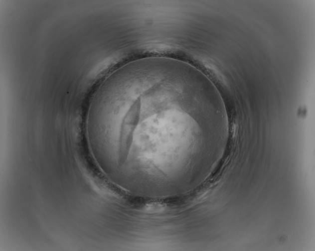 X0000093240591200709261710