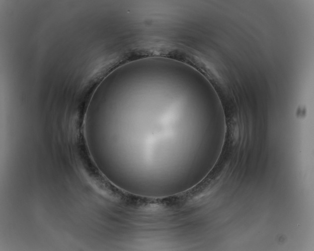 X0000093240594200709261710