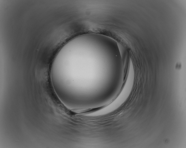 X0000093240595200709261710