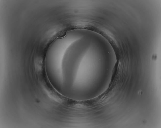 X0000093240596200709261710